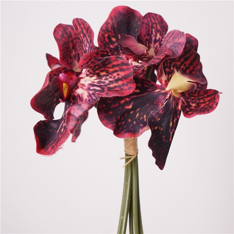 Soft touch Vanda orchid bunch
