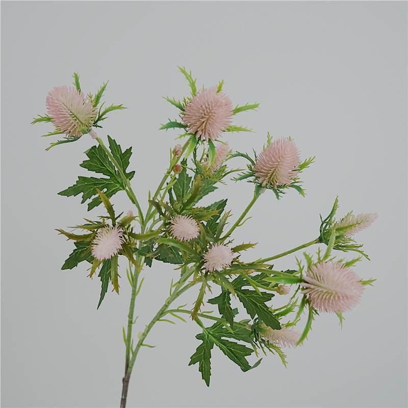 Realistic Eryngium