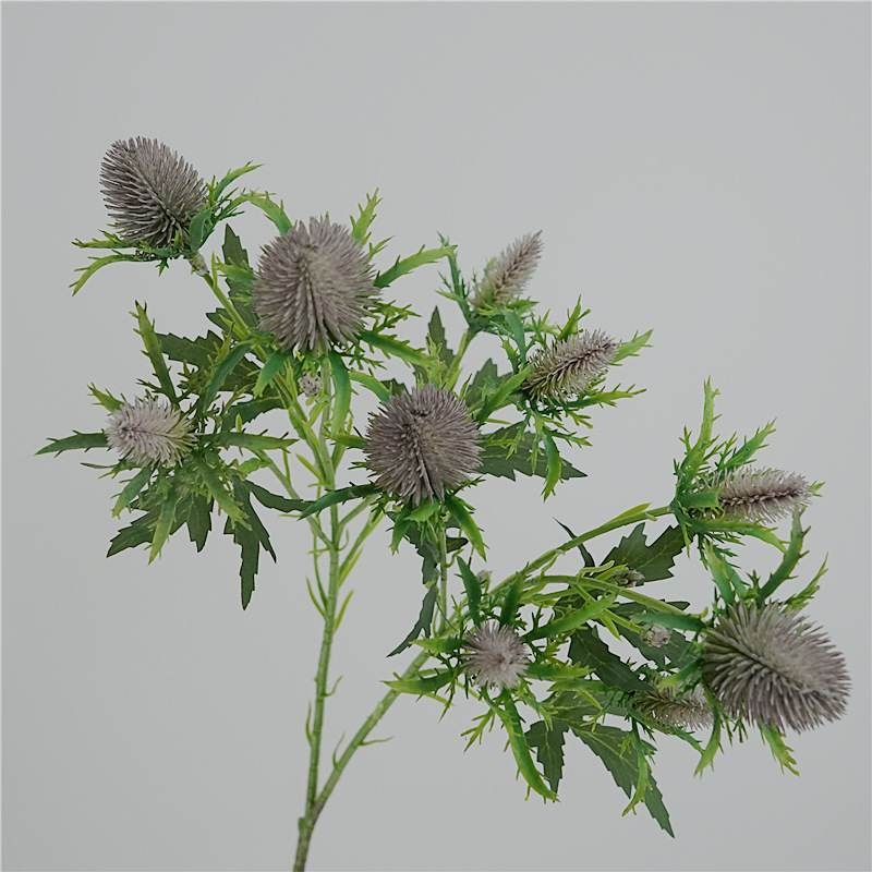 Realistic Eryngium