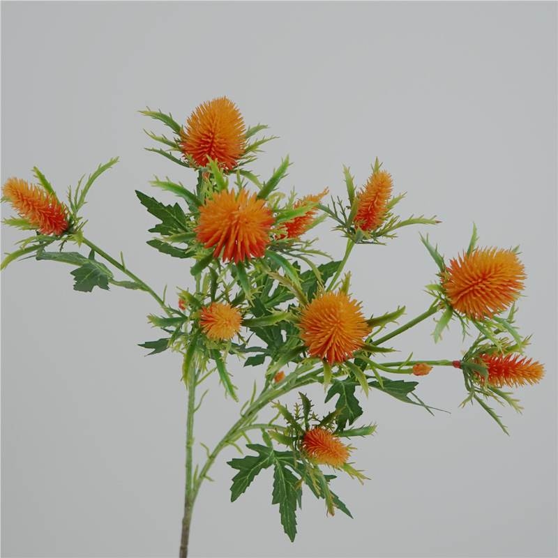 Realistic Eryngium