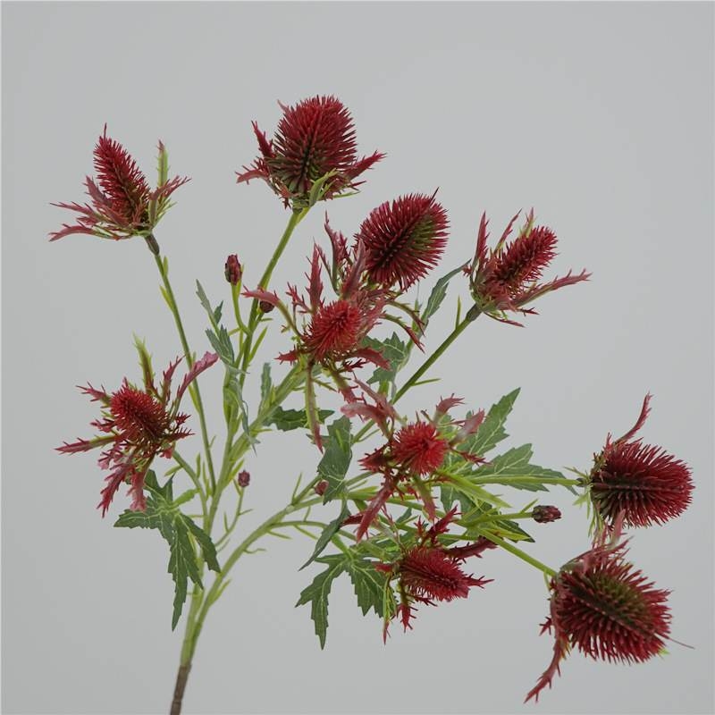 Realistic Eryngium