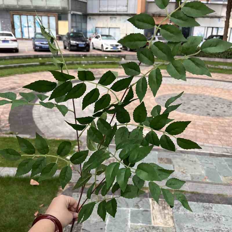 Artificial Campsis Leaves