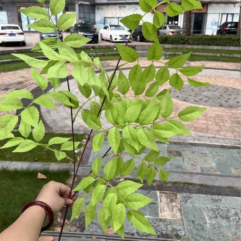 Artificial Campsis Leaves