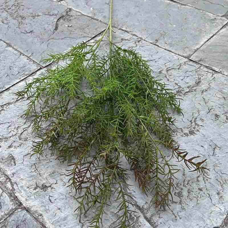 Artificial lifelike Cedar Spray