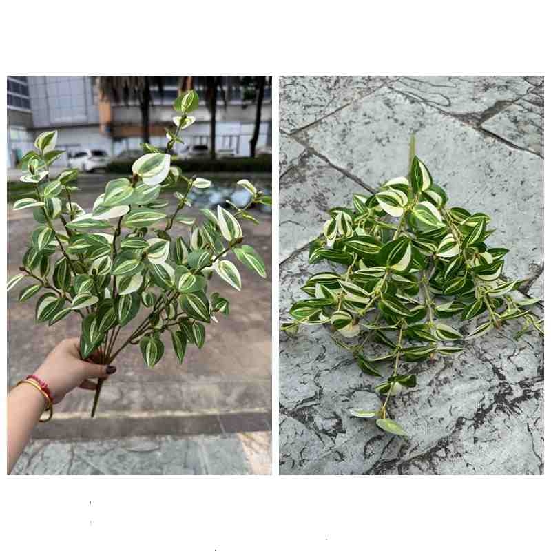 Artificial variegated Tradescantia