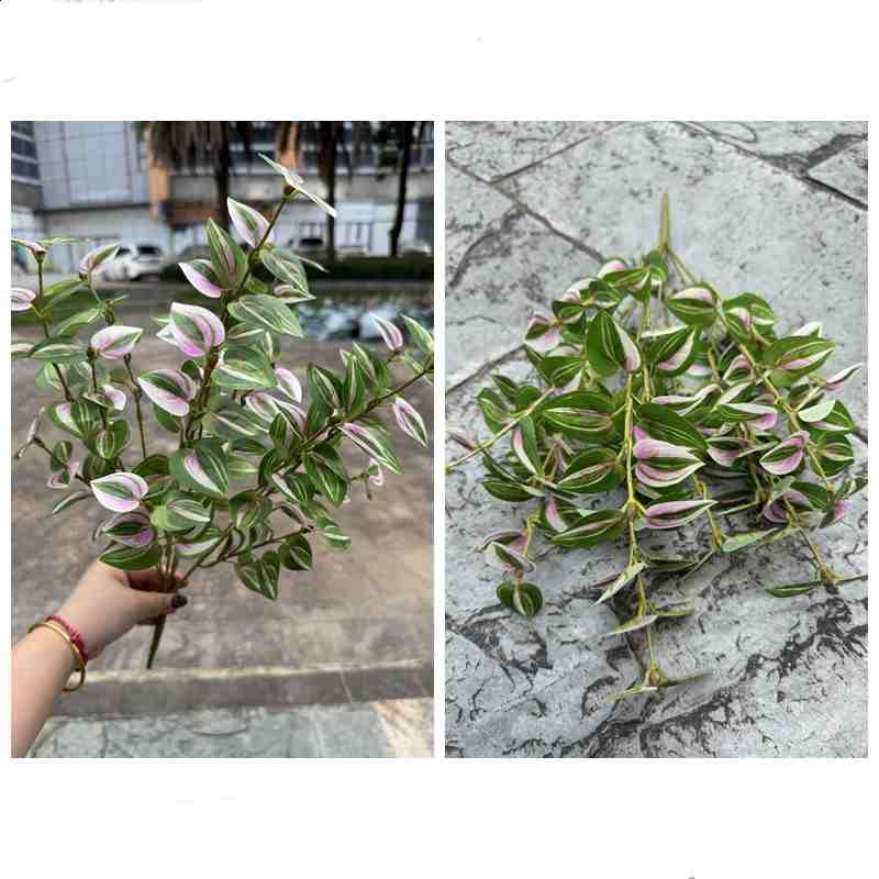 Artificial variegated Tradescantia
