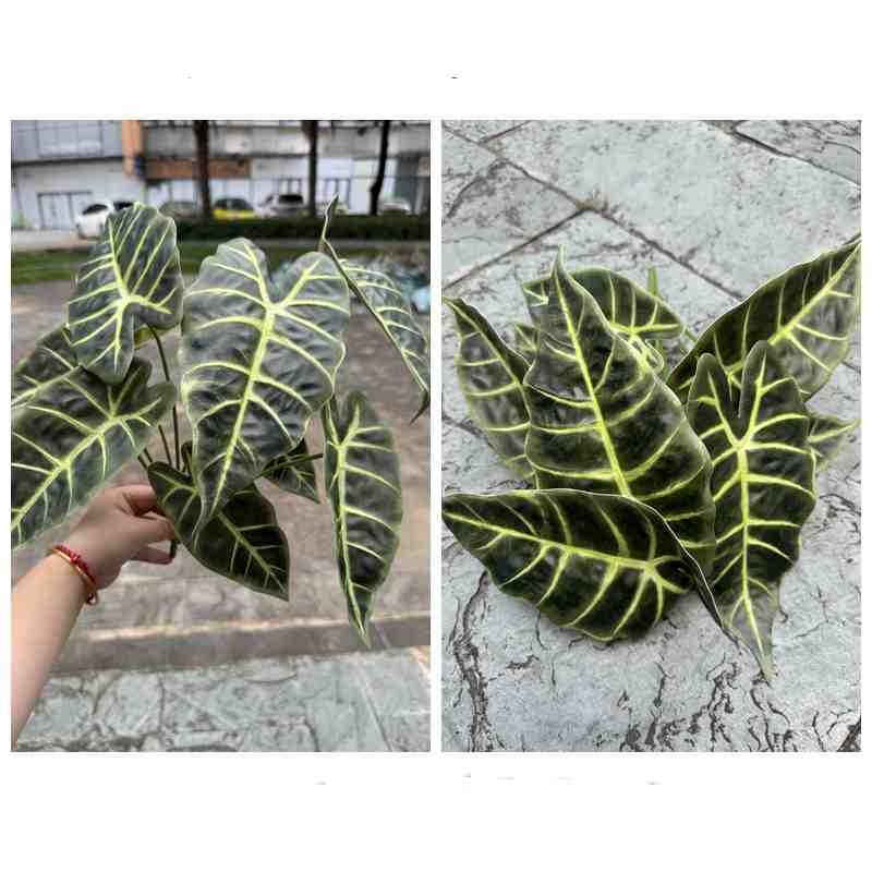 Artificial Alocasia Leaves