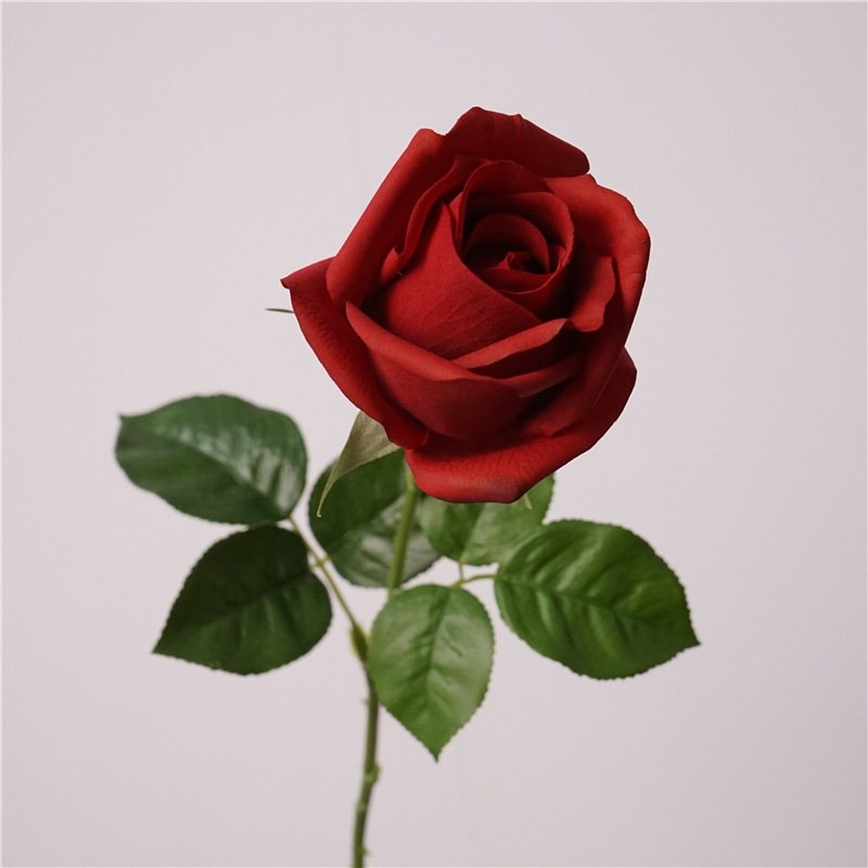Soft-Touch Artificial Rose Stem – 66cm