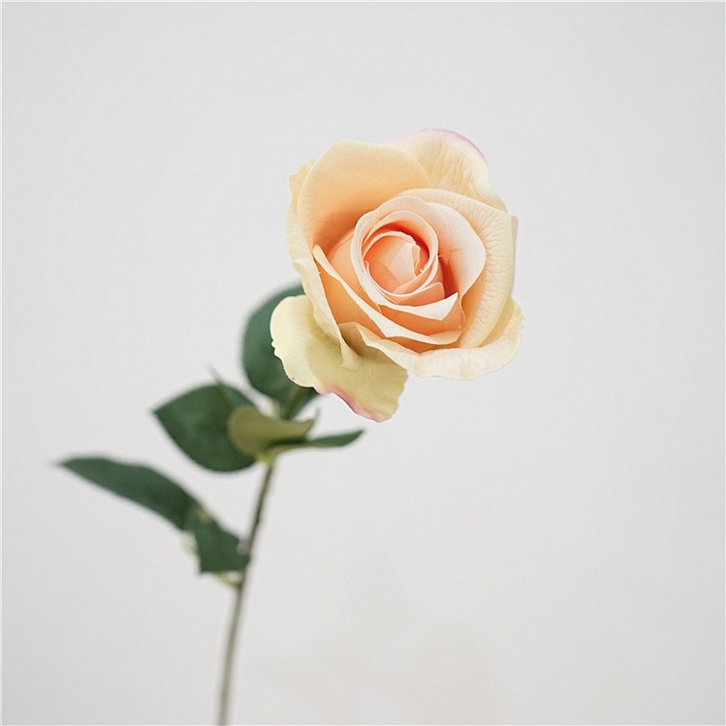 Soft-Touch Long Stem Artificial Rose – 66cm, 6cm Bloom