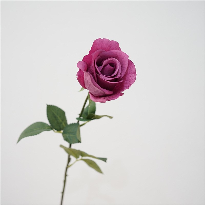 Soft-Touch Long Stem Artificial Rose – 66cm, 6cm Bloom