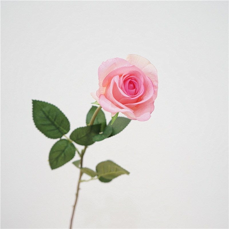 Soft-Touch Long Stem Artificial Rose – 66cm, 6cm Bloom