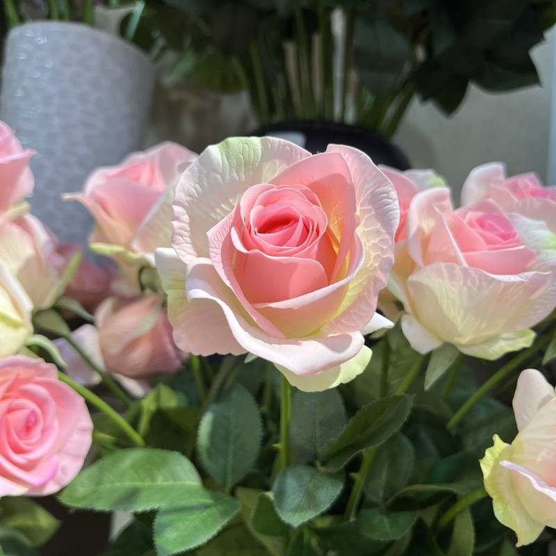 Soft-Touch Long Stem Artificial Rose – 66cm, 6cm Bloom