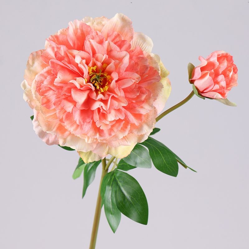 Wholesale Artificial Snow Princess Peony Stem – 2 Blooms, 67cm