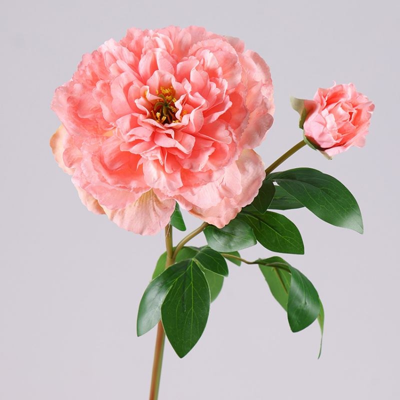Wholesale Artificial Snow Princess Peony Stem – 2 Blooms, 67cm