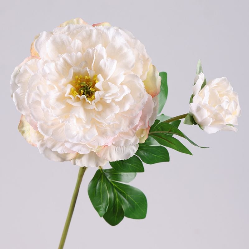 Wholesale Artificial Snow Princess Peony Stem – 2 Blooms, 67cm