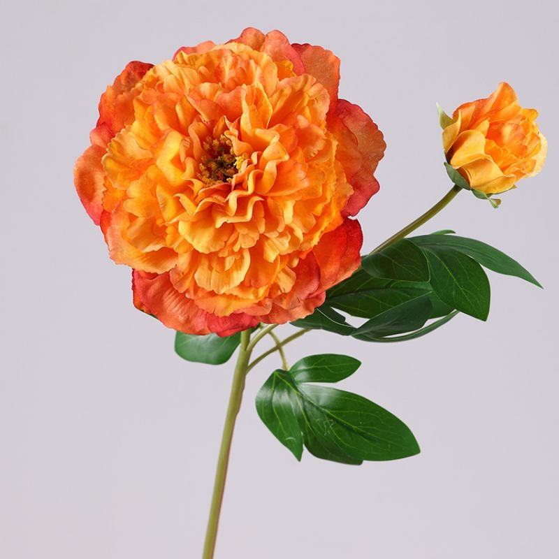 Wholesale Artificial Snow Princess Peony Stem – 2 Blooms, 67cm