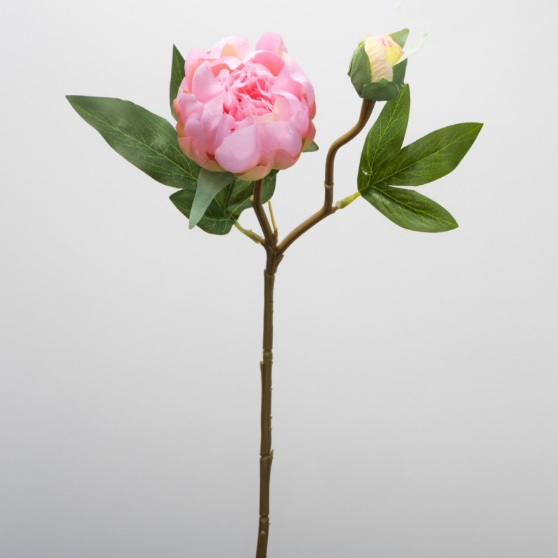 Wholesale Artificial Peony Bud Stem – 2-Bloom, 45cm