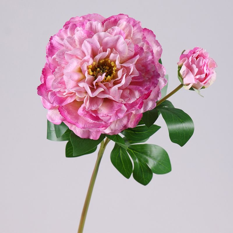 Wholesale Artificial Snow Princess Peony Stem – 2 Blooms, 67cm