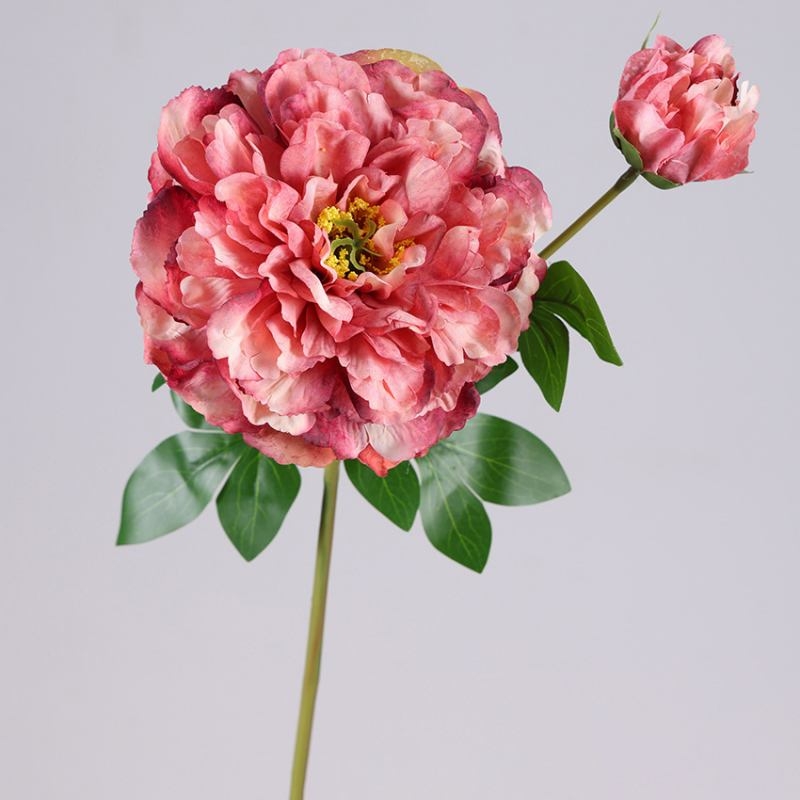 Wholesale Artificial Snow Princess Peony Stem – 2 Blooms, 67cm