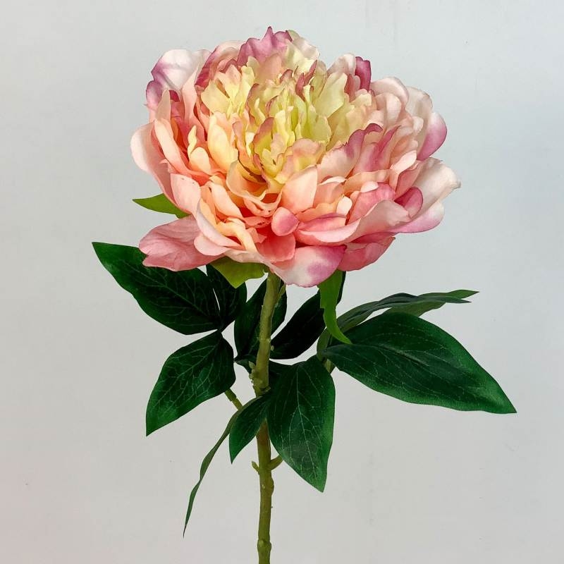 Artificial Peony Stem with Large 17cm Bloom