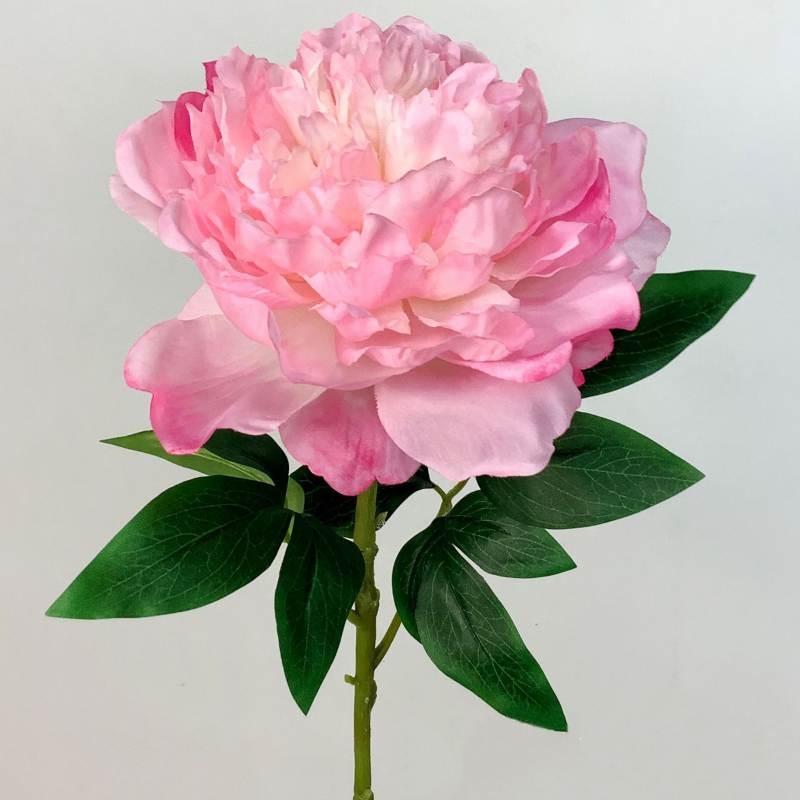 Artificial Peony Stem with Large 17cm Bloom