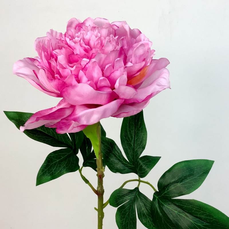 Artificial Peony Stem with Large 17cm Bloom