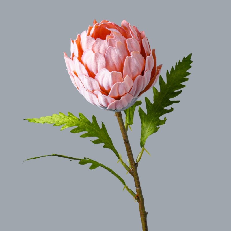 Artificial King Protea Flower 50cm