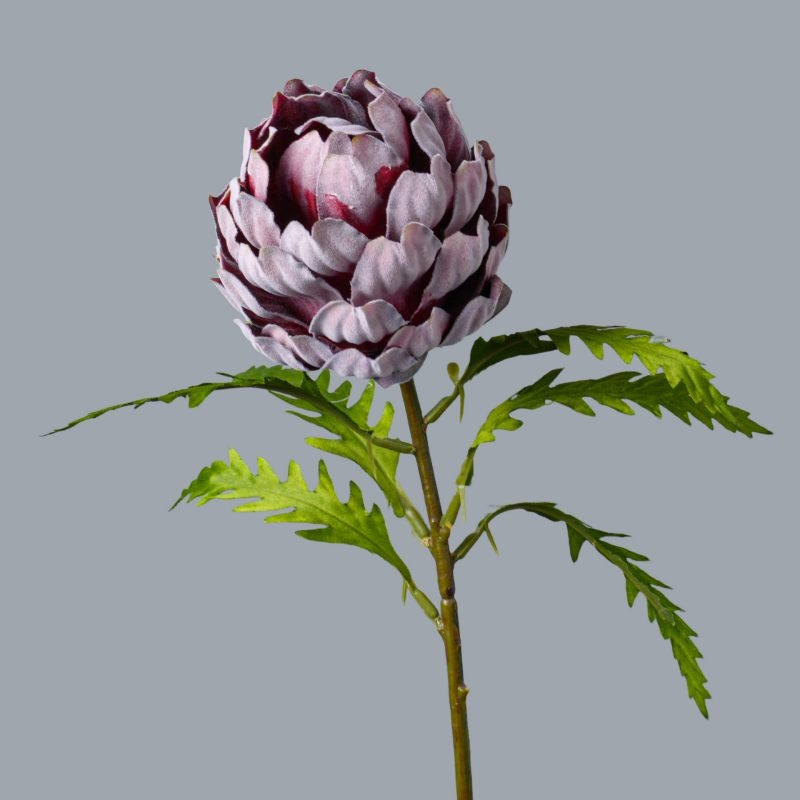 Artificial King Protea Flower 50cm