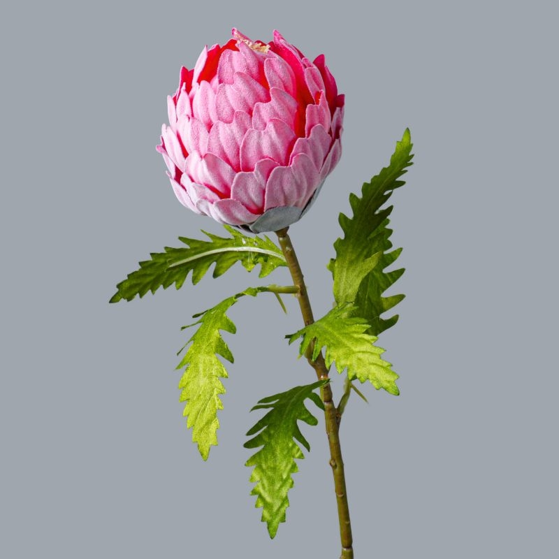 Artificial King Protea Flower 50cm