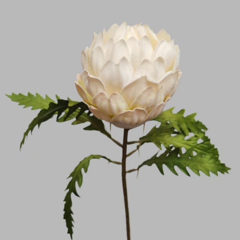 Artificial King Protea Flower 50cm