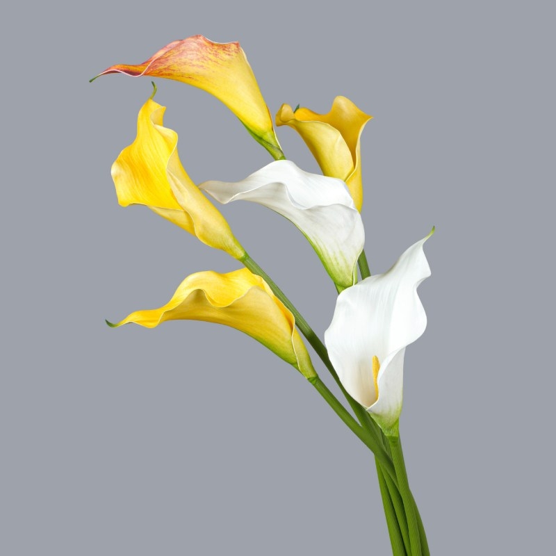 Soft-Touch Flocked Fabric Artificial Calla Lily 63cm – Single Stem