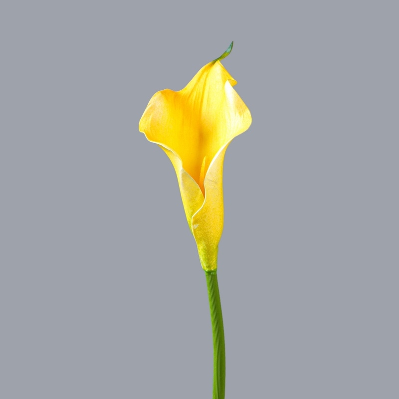 Soft-Touch Flocked Fabric Artificial Calla Lily 63cm – Single Stem