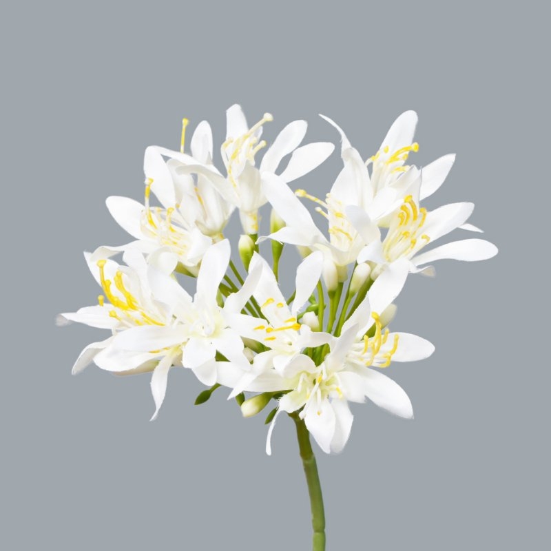 Artificial Agapanthus Stem 60cm with 14cm Bloom
