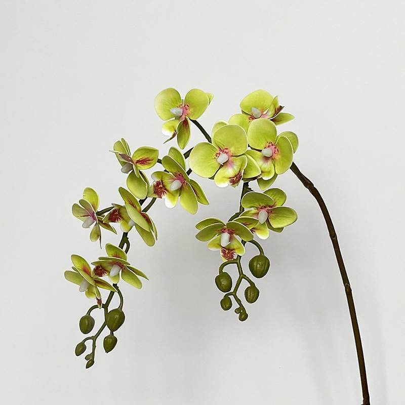 Artificial Phalaenopsis Orchid Spray – 64cm