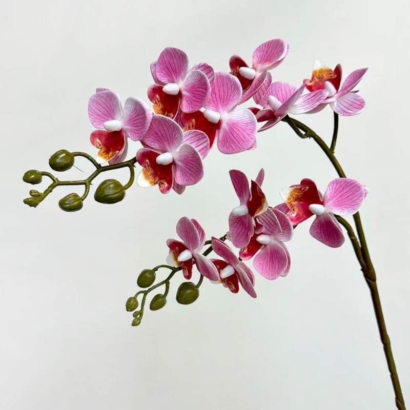 Artificial Phalaenopsis Orchid Spray – 64cm