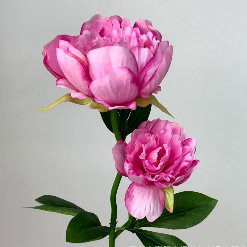 Artificial Peony Spray – 57cm Faux Peony with 2 Blooms