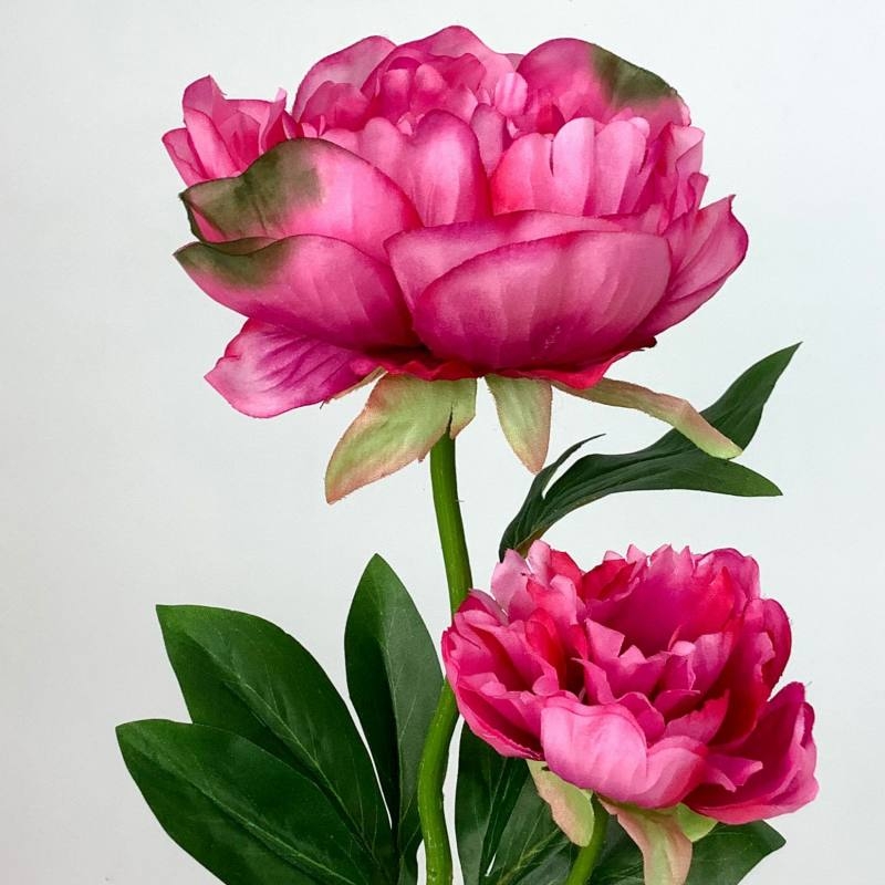 Artificial Peony Spray – 57cm Faux Peony with 2 Blooms