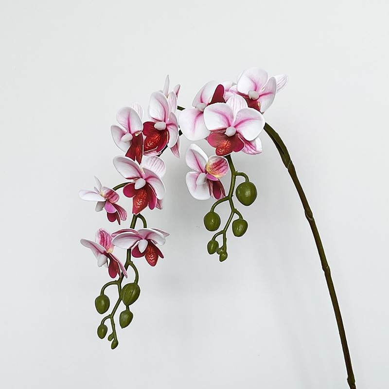 Artificial Phalaenopsis Orchid Spray – 64cm