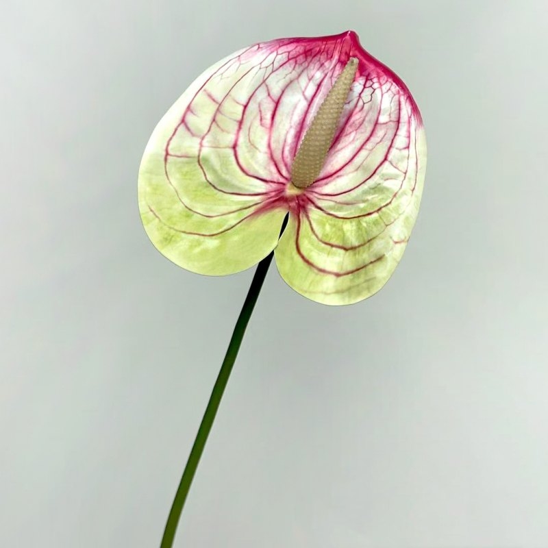 Artificial Anthurium Flower Stem 56CM