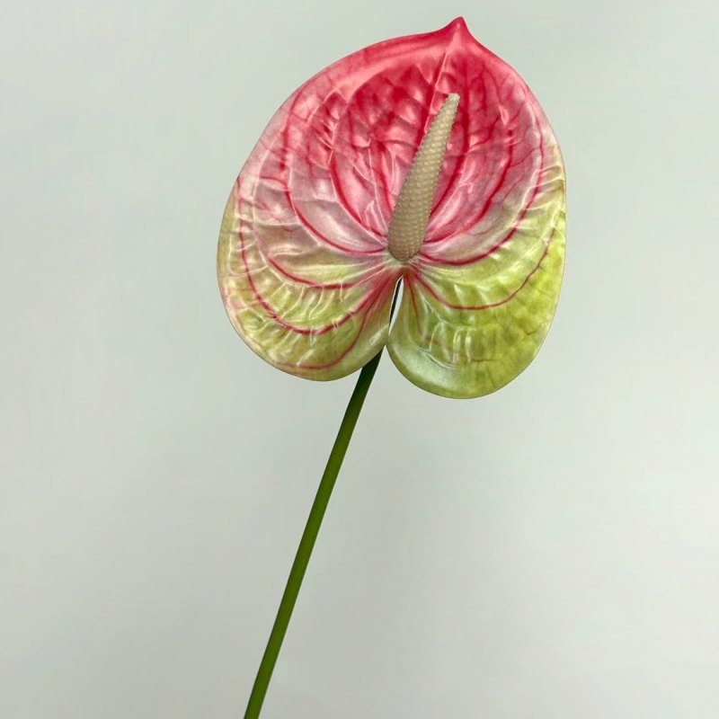Artificial Anthurium Flower Stem 56CM