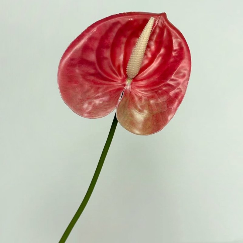 Artificial Anthurium Flower Stem 56CM