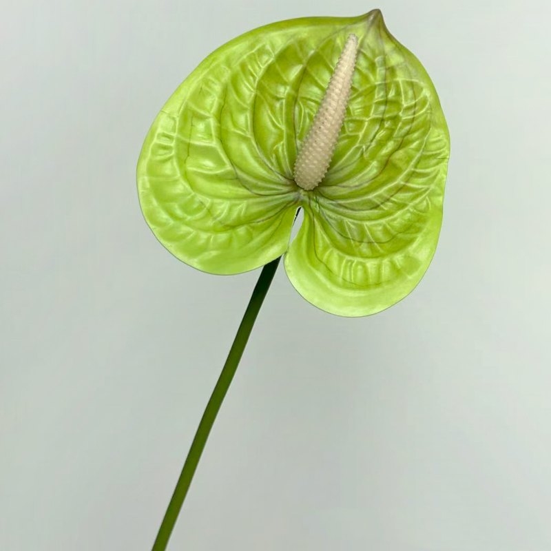 Artificial Anthurium Flower Stem 56CM