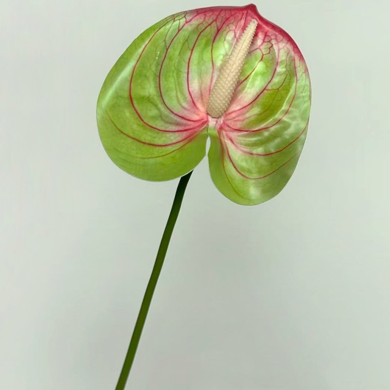Artificial Anthurium Flower Stem 56CM