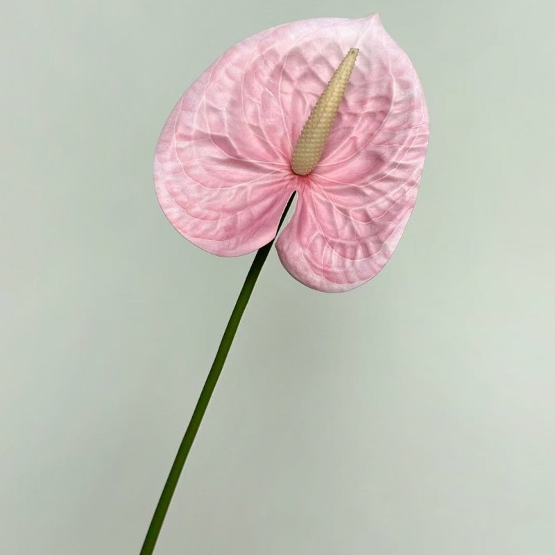 Artificial Anthurium Flower Stem 56CM