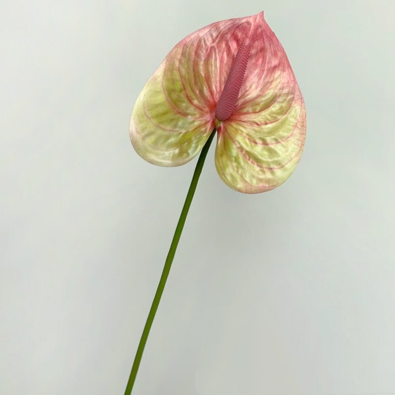 Artificial Anthurium Flower Stem 66CM