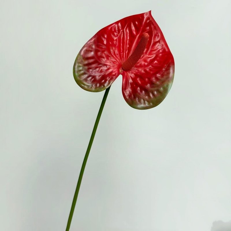 Artificial Anthurium Flower Stem 66CM