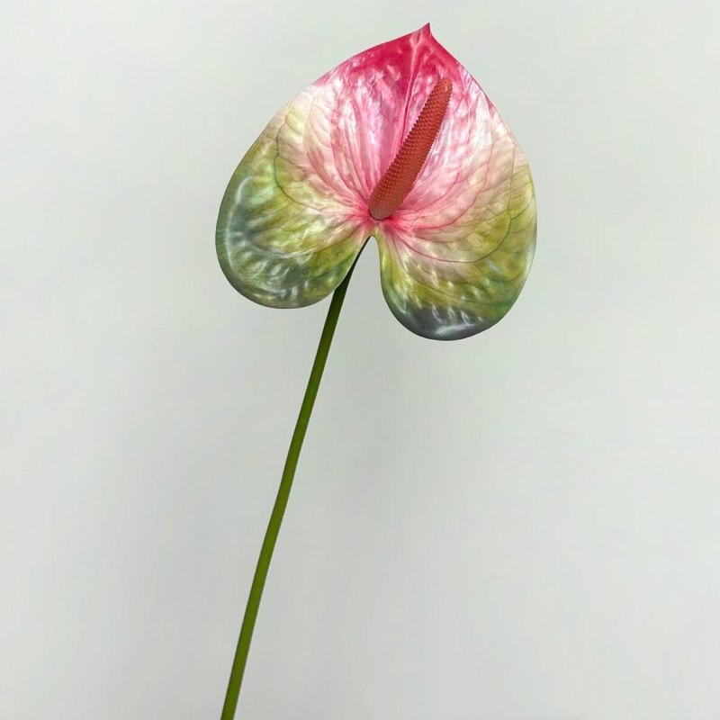 Artificial Anthurium Flower Stem 66CM