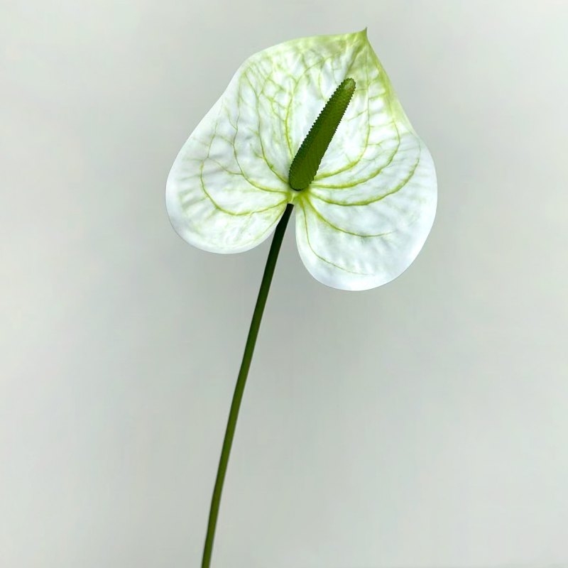 Artificial Anthurium Flower Stem 66CM