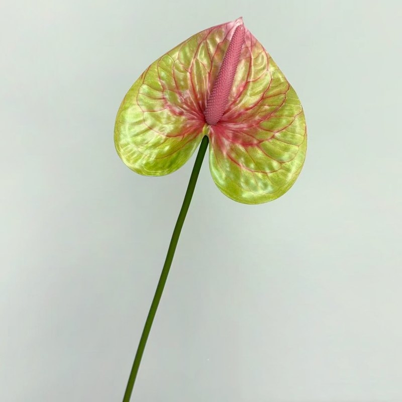 Artificial Anthurium Flower Stem 66CM