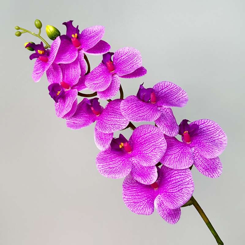 Artificial Phalaenopsis Orchid Stem – 95cm